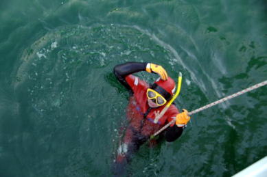 垂直素潜りをする潜水士